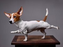 shutterstock_669575275.jpg shutterstock_669575275.jpg