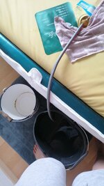 IMG-20220723-WA0005.jpeg IMG-20220723-WA0005.jpeg