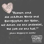 a6a94d48255c48ac95f5ad2eba33d7a8.jpg