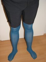 FSH2.JPG