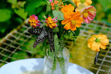 Phil22_055.jpg Phil22_055.jpg