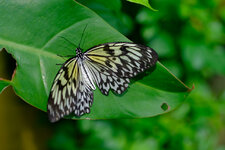 Phil22_056.jpg Phil22_056.jpg