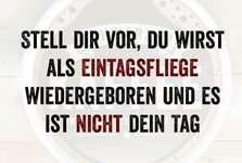 20220518_150903.jpg