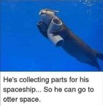 Screenshot_20220817-134209_Samsung Internet.jpg Screenshot_20220817-134209_Samsung Internet.jpg