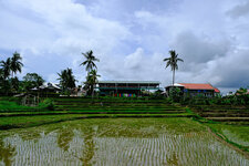 Phil22_086.jpg Phil22_086.jpg