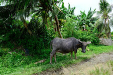 Phil22_089.jpg Phil22_089.jpg