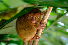 Phil22_052.jpg Phil22_052.jpg