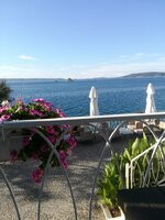 IMG_20220823_081606.jpg