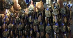 18EB92ED-F6B1-4A1C-ADA9-F652E42D8D7A.png 18EB92ED-F6B1-4A1C-ADA9-F652E42D8D7A.png