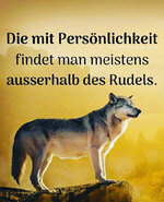 49766D1A-65E0-48DC-99D8-F103962CC9C1.jpeg