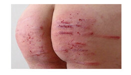 41694EE5-B46C-4F6D-A63E-1414AC44C418.jpeg 41694EE5-B46C-4F6D-A63E-1414AC44C418.jpeg