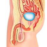 gettyimages-769724925-612x612.jpg gettyimages-769724925-612x612.jpg