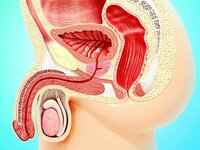 gettyimages-530343784-612x612.jpg gettyimages-530343784-612x612.jpg