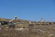 DSC01978.JPG DSC01978.JPG