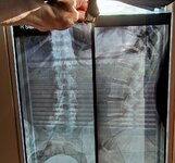 IMG_20221019_102044.jpg IMG_20221019_102044.jpg