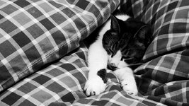 IMG_20221105_165309.jpg