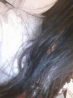 16676837628863405615771058026572.jpg 16676837628863405615771058026572.jpg