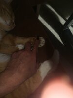 IMG_20221107_141941.jpg