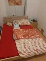 20221107_221256.jpg