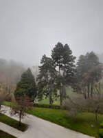 20221108_131536.jpg