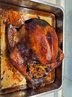 20221126_134824.jpg 20221126_134824.jpg