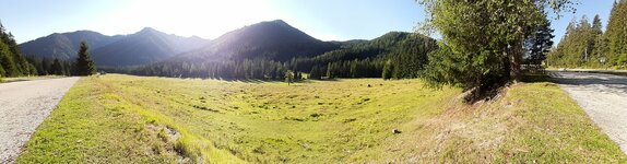 20220801_081524.jpg 20220801_081524.jpg