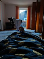 IMG_20230107_081127.jpg