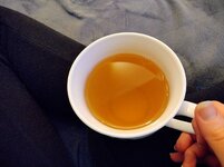 IMG_20230109_075200_678.jpg IMG_20230109_075200_678.jpg