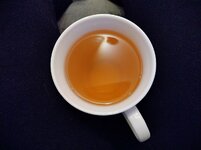 IMG_20230111_072407_HDR.jpg IMG_20230111_072407_HDR.jpg