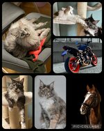 66AF0DBD-5FF3-4B35-A5F5-D3377AC57B26.jpeg 66AF0DBD-5FF3-4B35-A5F5-D3377AC57B26.jpeg