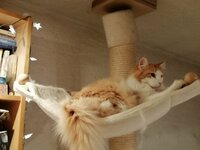 IMG-20221224-WA0013.jpg IMG-20221224-WA0013.jpg