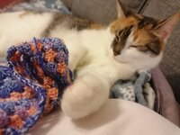 IMG_20230118_200921.jpg IMG_20230118_200921.jpg