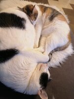 IMG_20230127_081139.jpg IMG_20230127_081139.jpg