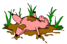 animiertes-schwein-bild-0049.gif