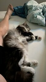 CD5186E3-B648-4046-88C8-27133C32DF87.jpeg