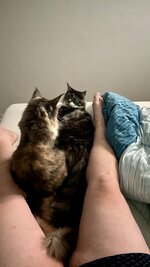 07D3937E-F1D3-4919-BA0D-FFF41A5C719B.jpeg